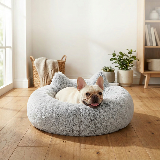 Best Calming Dog Bed for Better Rest