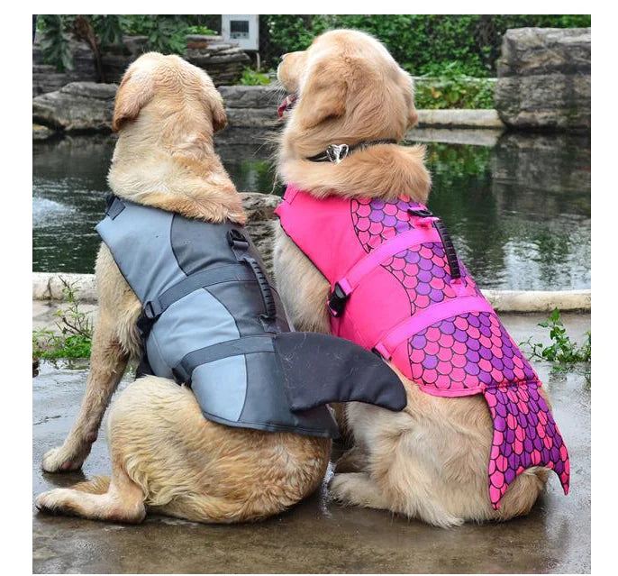 Pawzen Dog Life Jacket Vest | Safe, Comfy & Adjustable for All Dogs