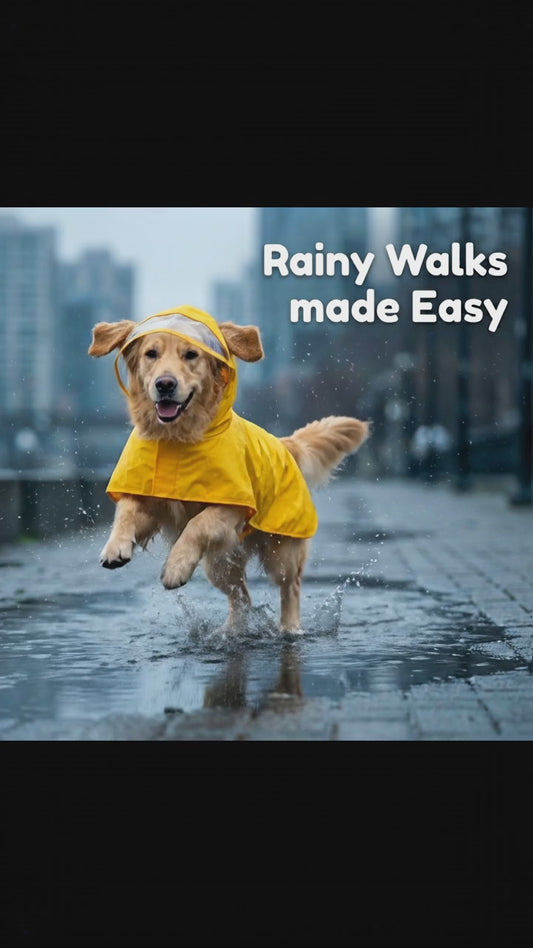 PawZen Waterproof Dog Raincoat (small)