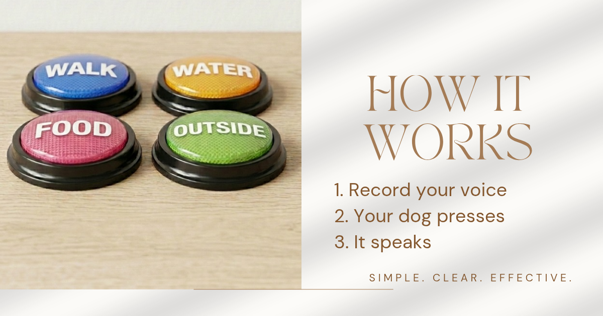 PawZen TalkButton™ — Teach Your Dog to Communicate
