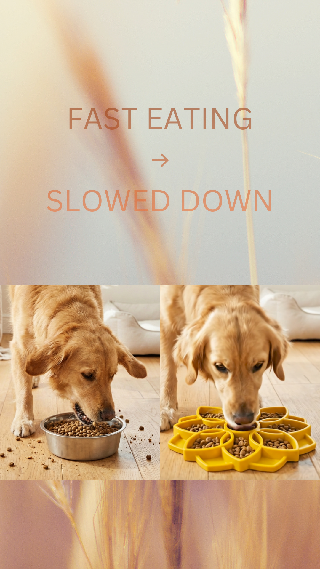 Stop Fast Eating & Support Healthier Digestion
