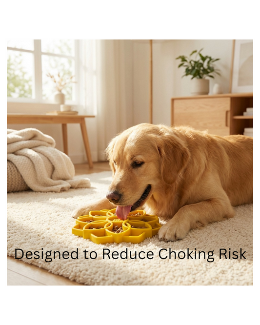 Stop Fast Eating & Support Healthier Digestion