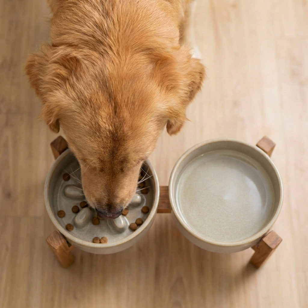 Slow Feeder Ceramic Bowl Set 🐾 – Food & Water Stand for Small Dogs & Cats