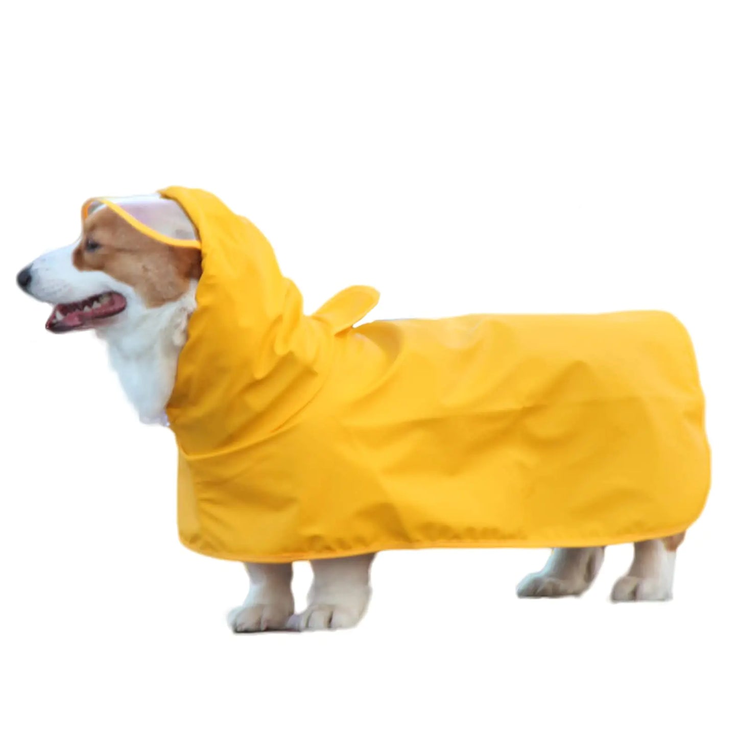 PawZen Waterproof Dog Raincoat (small)